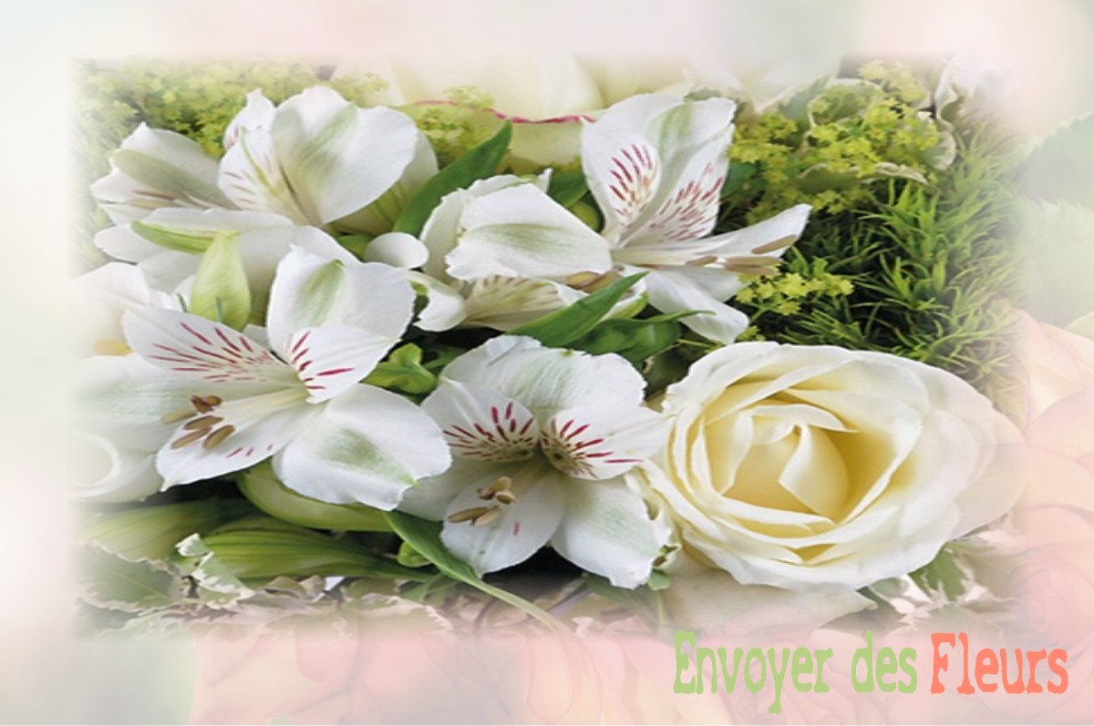 envoyer des fleurs à à VILLEDIEU-SUR-INDRE